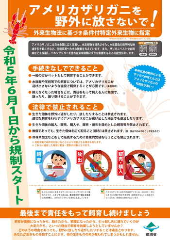 アメリカザリガニを野外放さないで!(表).png