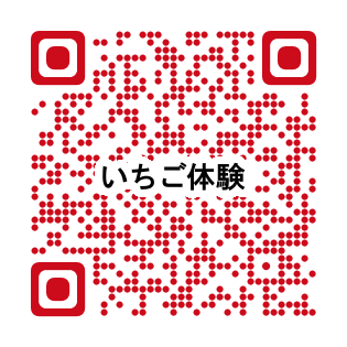 QR_374089.png