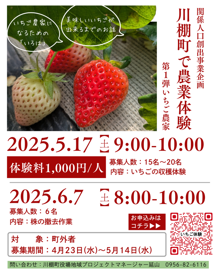 いちご収獲体験.png